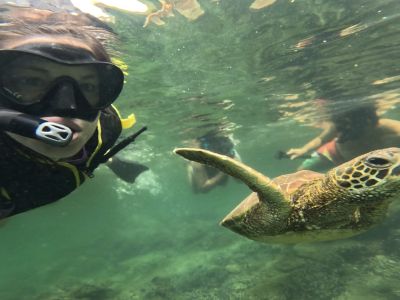 Snorkeler swimming with a sea turtle in clear water, underwater adventure.
