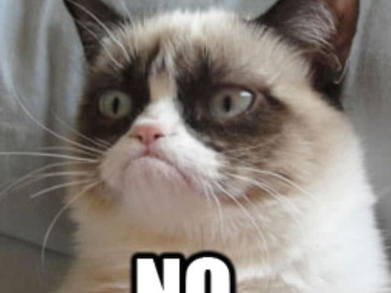 grumpy-cat