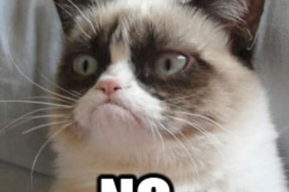 grumpy-cat